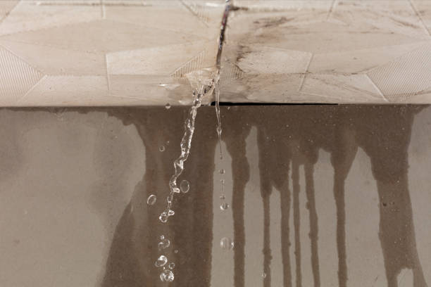 Professional Structural Drying technician working in Creston, CA